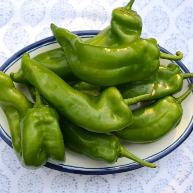 Foto 2 de Pimiento